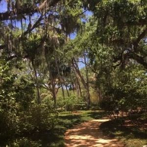 Meet your Posher, Rezarta